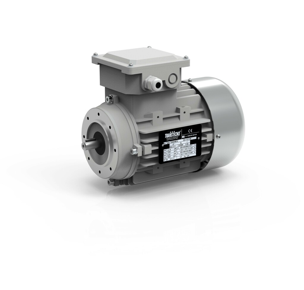 Thre-Phase electric motor